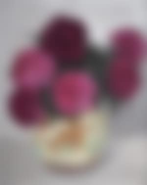 Peony (preview)