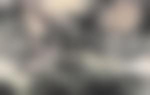 Landscape (preview)