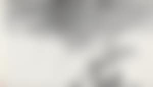 Landscape (preview)