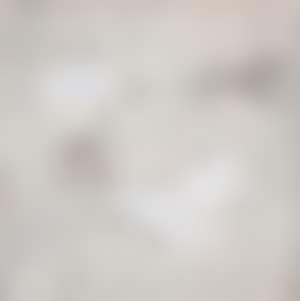 Egret (preview)