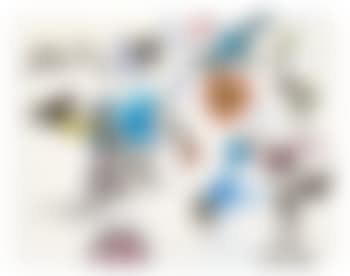 [Untitled] (preview)