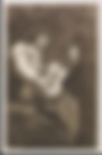 El cantor ciego (preview)