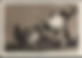 Disparate conocido! Que Guerrero! (preview)