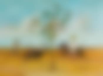 The Emu Hunt (preview)