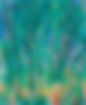 Forest Series (preview)