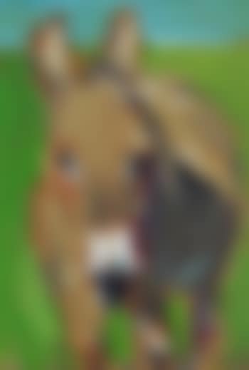 Donkey (preview)