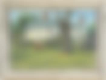 Colonial Homestead (preview)