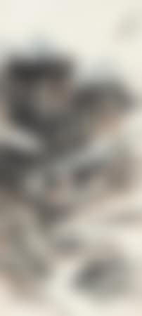 Landscape (preview)