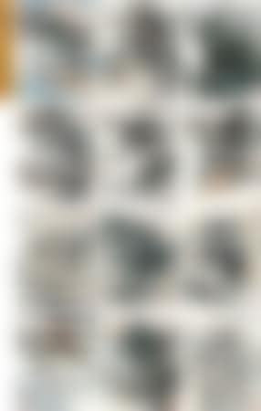 Landscapes (preview)