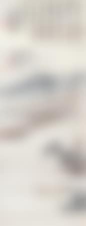 Landscape (preview)