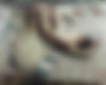 Spring Awaken (preview)