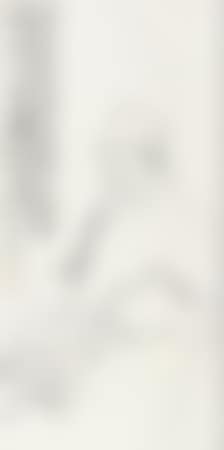 Qi Baishi (preview)