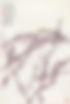Plum Blossom (preview)
