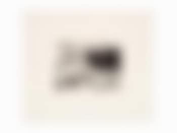 Nose 10 (preview)