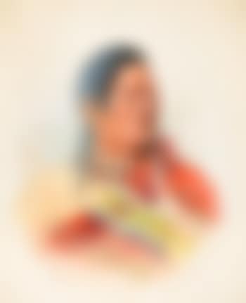 Indian Portrait (1901) (preview)