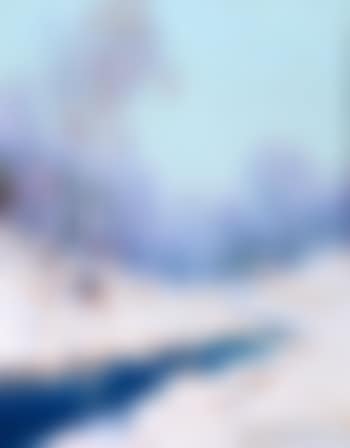 Alaskan Winter (preview)