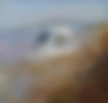 Figure Sitting on a Beach (preview)