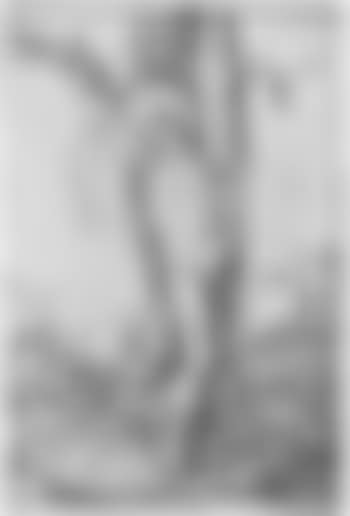 Der hl. Sebastian (preview)