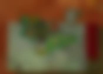 Stillleben mit Camelias (preview)