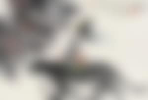 Untitled (preview)