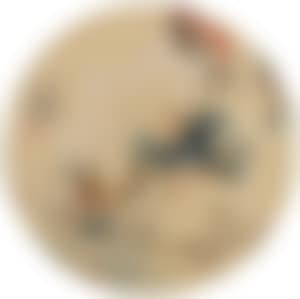 Untitled (preview)