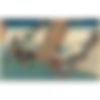 Les 47 Ronin, les loyaux serviteurs, Acte VIII, le voyage de noce de Konami (preview)