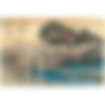 Fujisawa (preview)