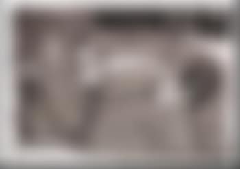 Lupine (preview)