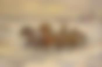 Winter sleigh ride (preview)
