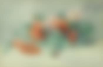 Still life with flowers (preview)