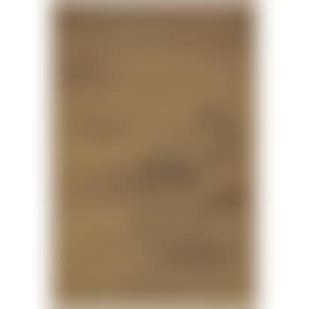 Landscape Album (preview)