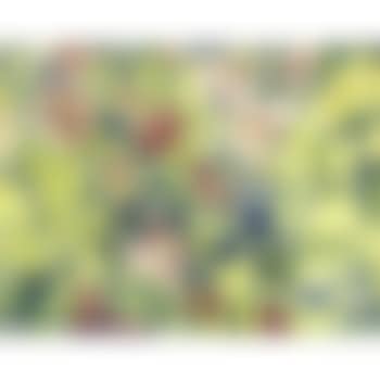 Roses and Convolvulus (preview)