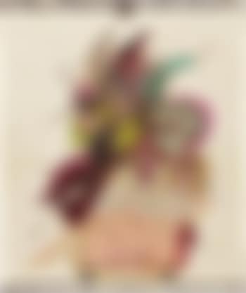 Pott (preview)