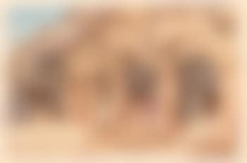 Cave temple in Ajanta (preview)