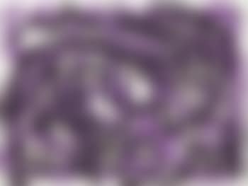 o.T. (Steinbock) (preview)
