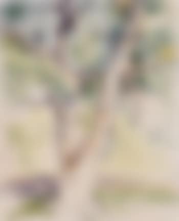 Crepe Myrtle Tree (preview)