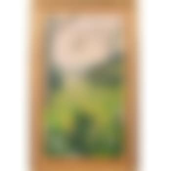 Springtime meadow landscape (preview)