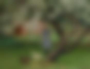 Young duckherd in the garden with blossoming tree (preview)