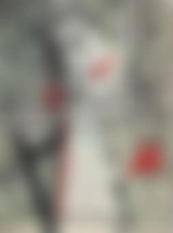 Il Grito (preview)