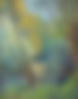 Autumn among the willows (preview)
