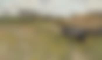 Dune Landscape with Children and Sheep (preview)