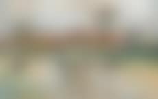 Vaches et moulin (preview)