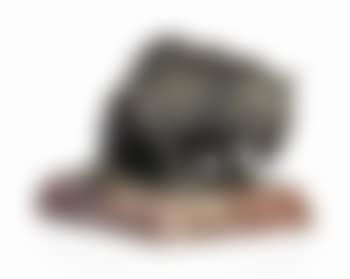 Jaguar Accroupi (preview)