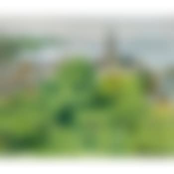 Tay Bridge from Newport (preview)