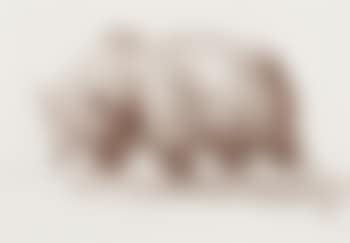 Grizzly (preview)