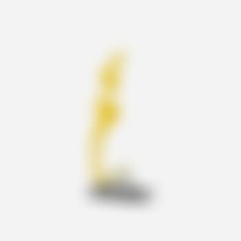 Yellow reflection (preview)