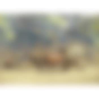 Two views of Cintra, Portugal (preview)
