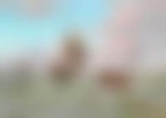 Fishing boats at sea (preview)