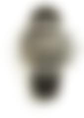 A gentleman's wristwatch (preview)