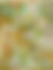 Ornamental figur (Ornamental figure) (preview)
